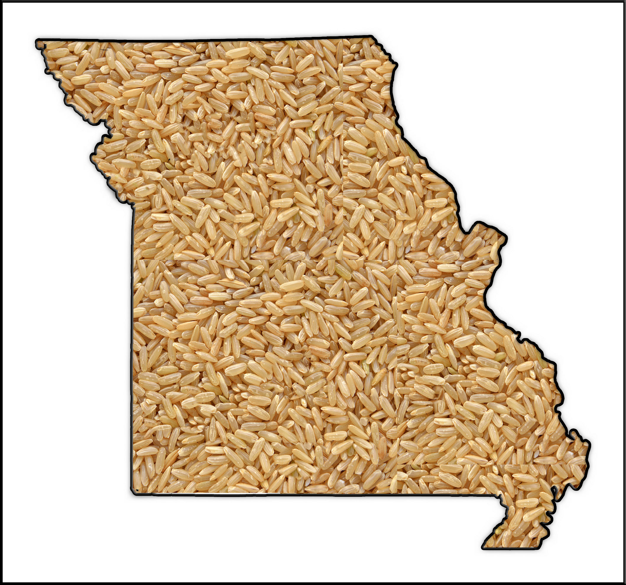 Outline of the state of MO-filled with rice