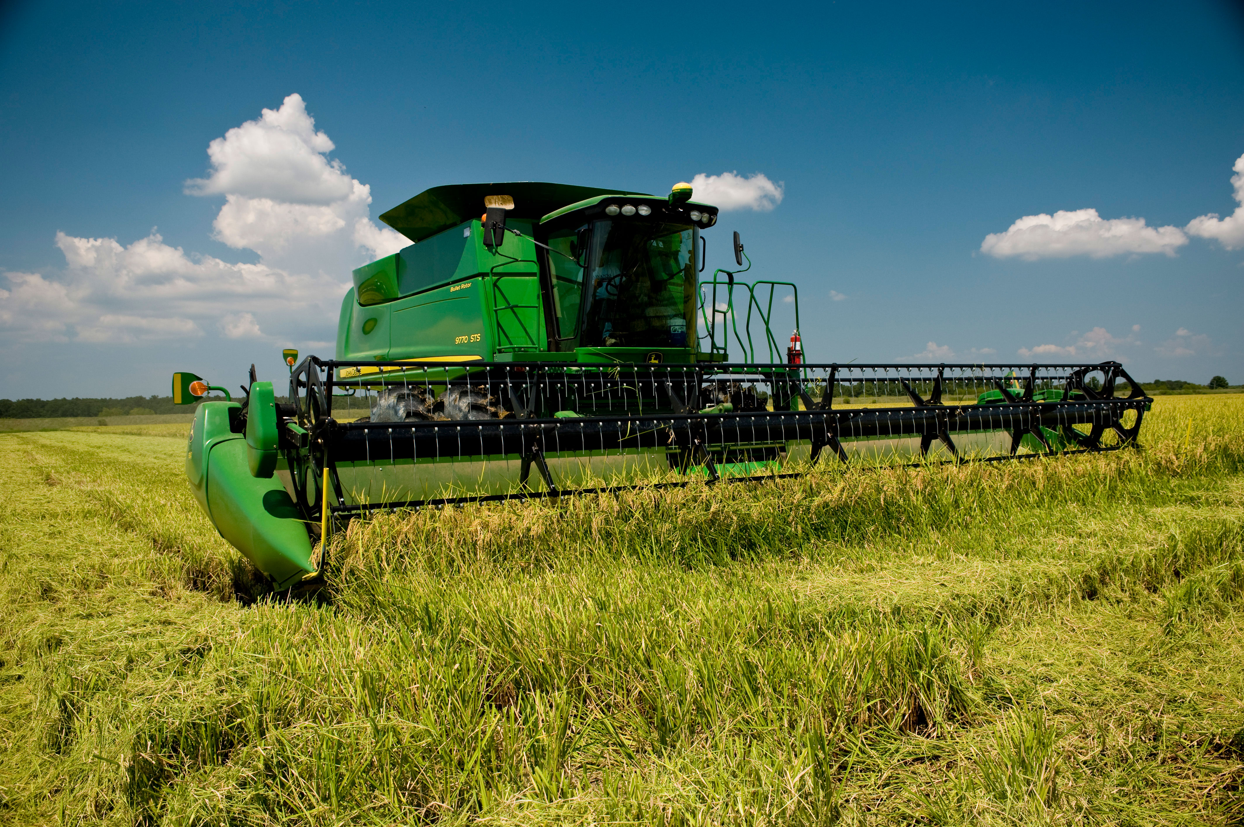 Green John Deere combine harvesting rice