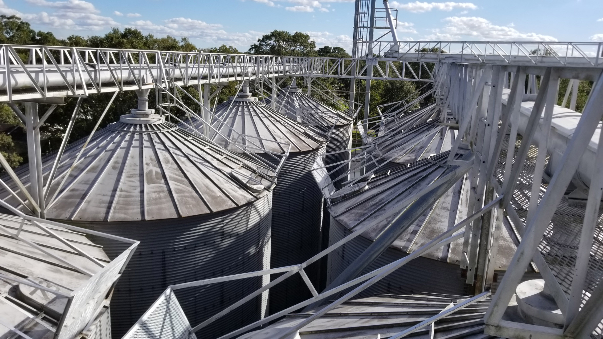 Falcon Rice Bins