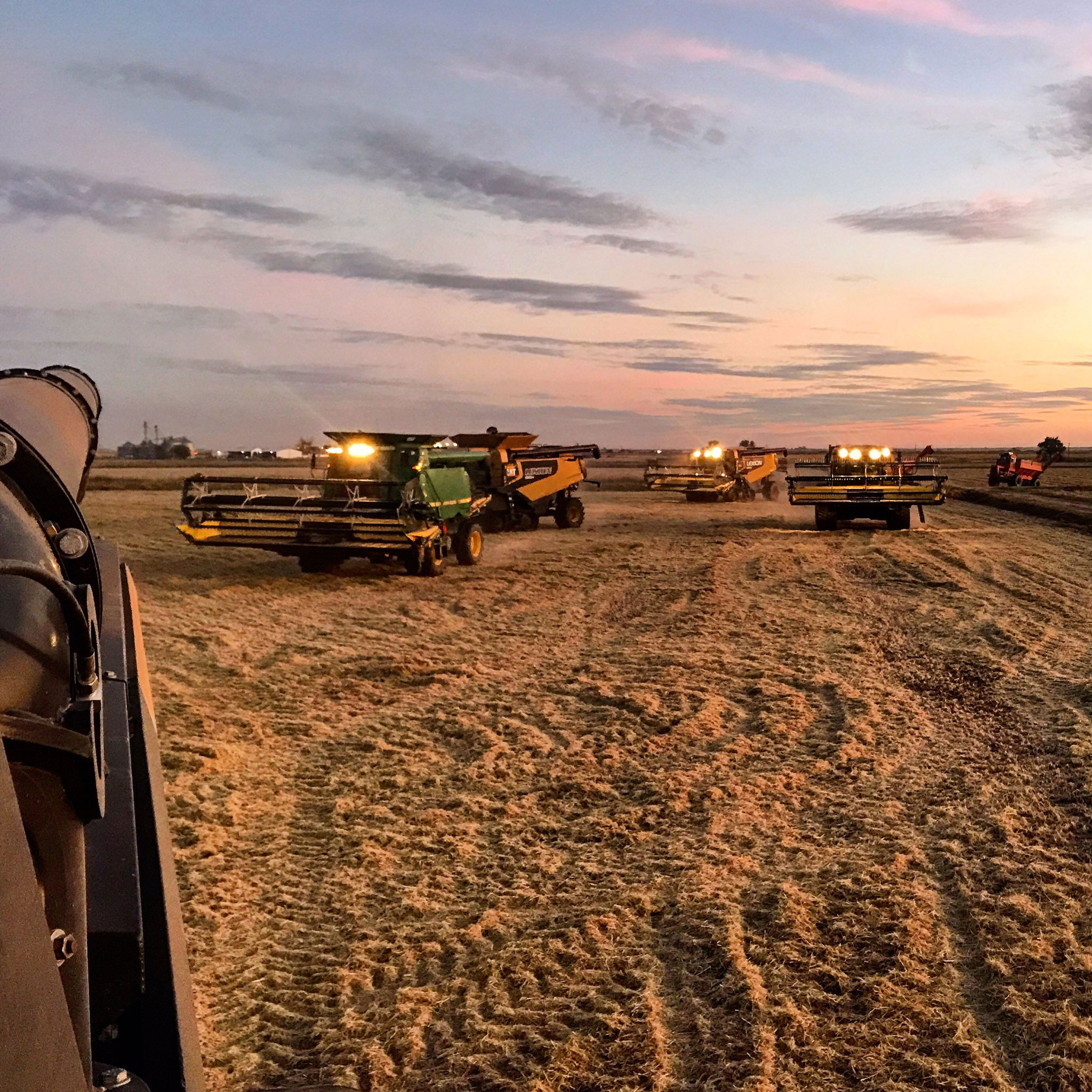 2017 #ThinkRice-Photo-Contest-Winner, 5 combines in harvested rice field with gorgeous sunset in background