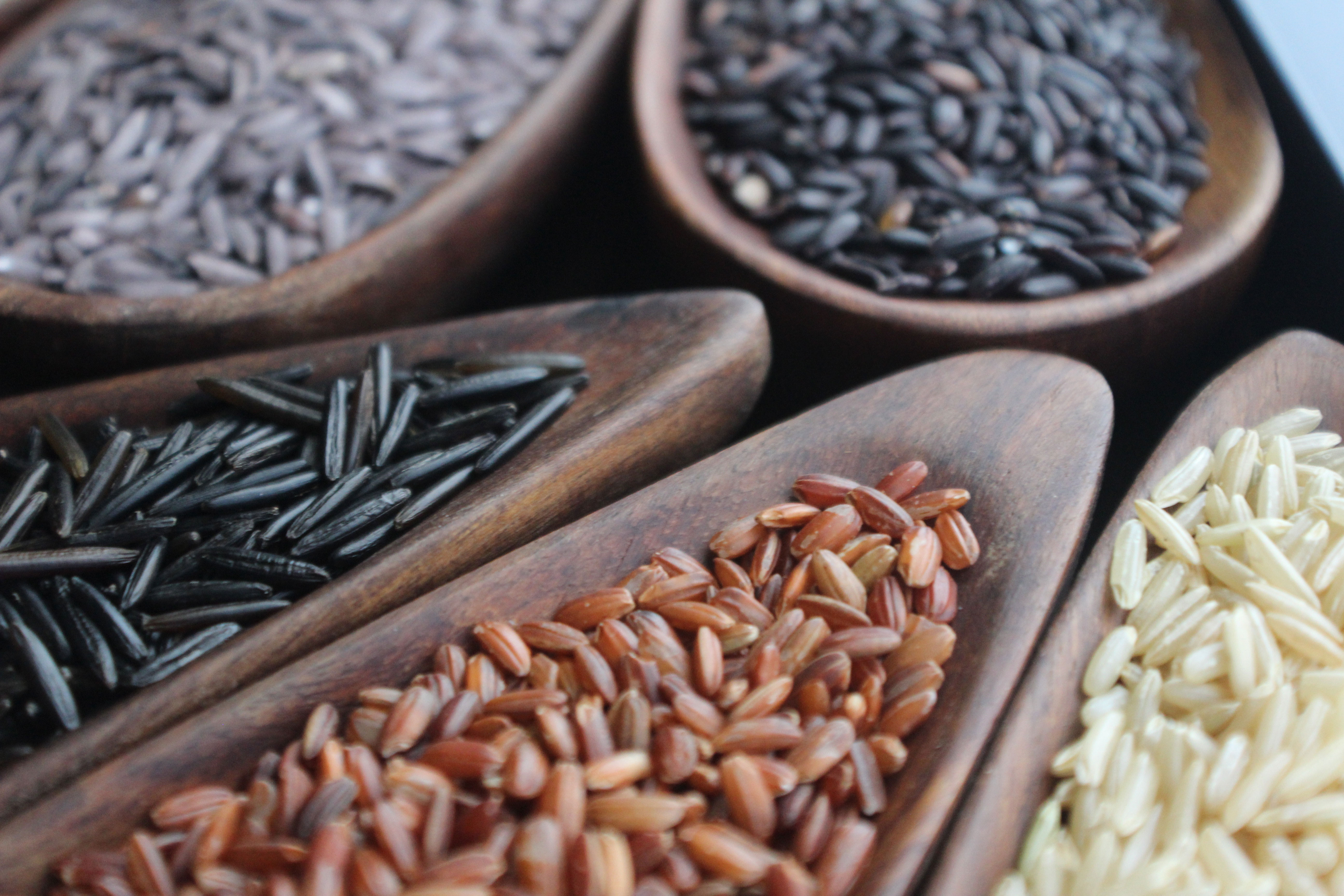 Multi-colored rice - red, black, white, purple - in wooden boats, close-up