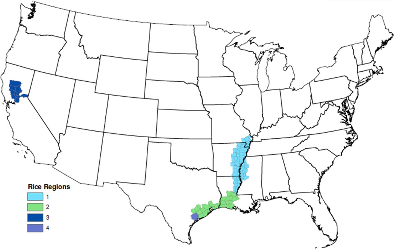 GA- Margin Protection Now Available for Rice Producers