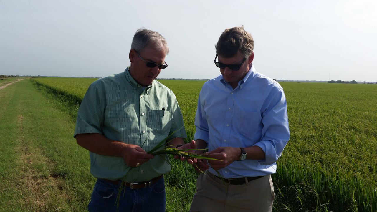 NASS-Surveys-Need-Input,-LG-Raun-& Mosely