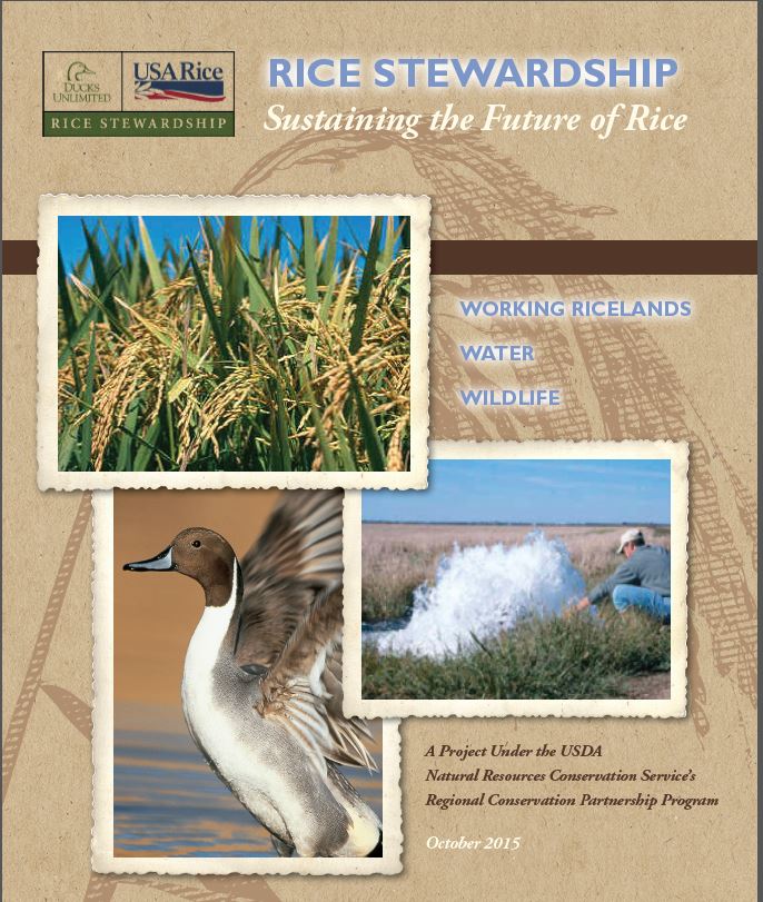 GA-Sustaining the Future of Rice-151002