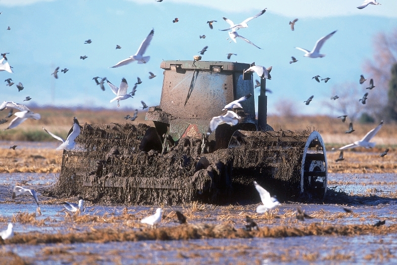 USDA Announces 235M for RCPP