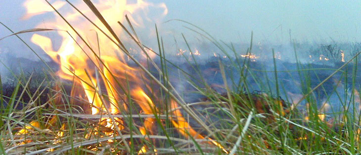 Field crop refuse burn with flames in foreground and smoke in background