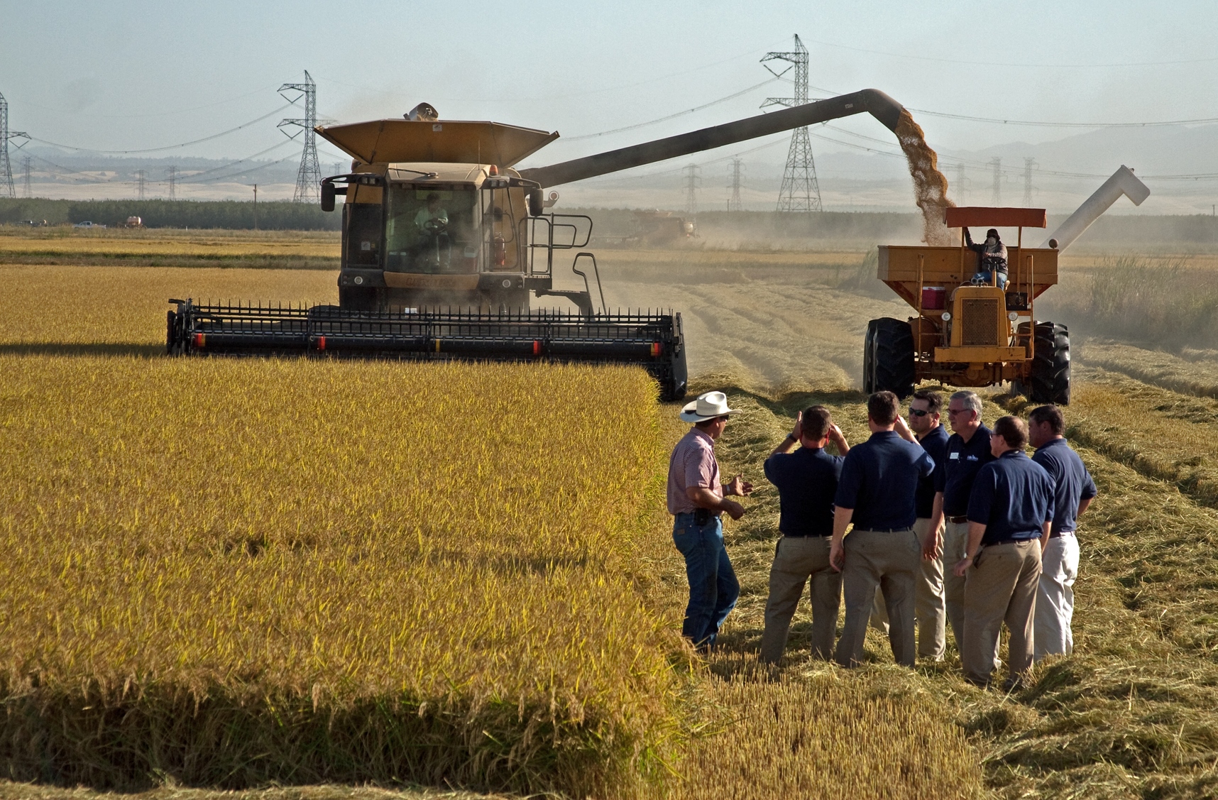 Rice Leadership Class Observing Harvest in California, standing in field near combine and bankout truck