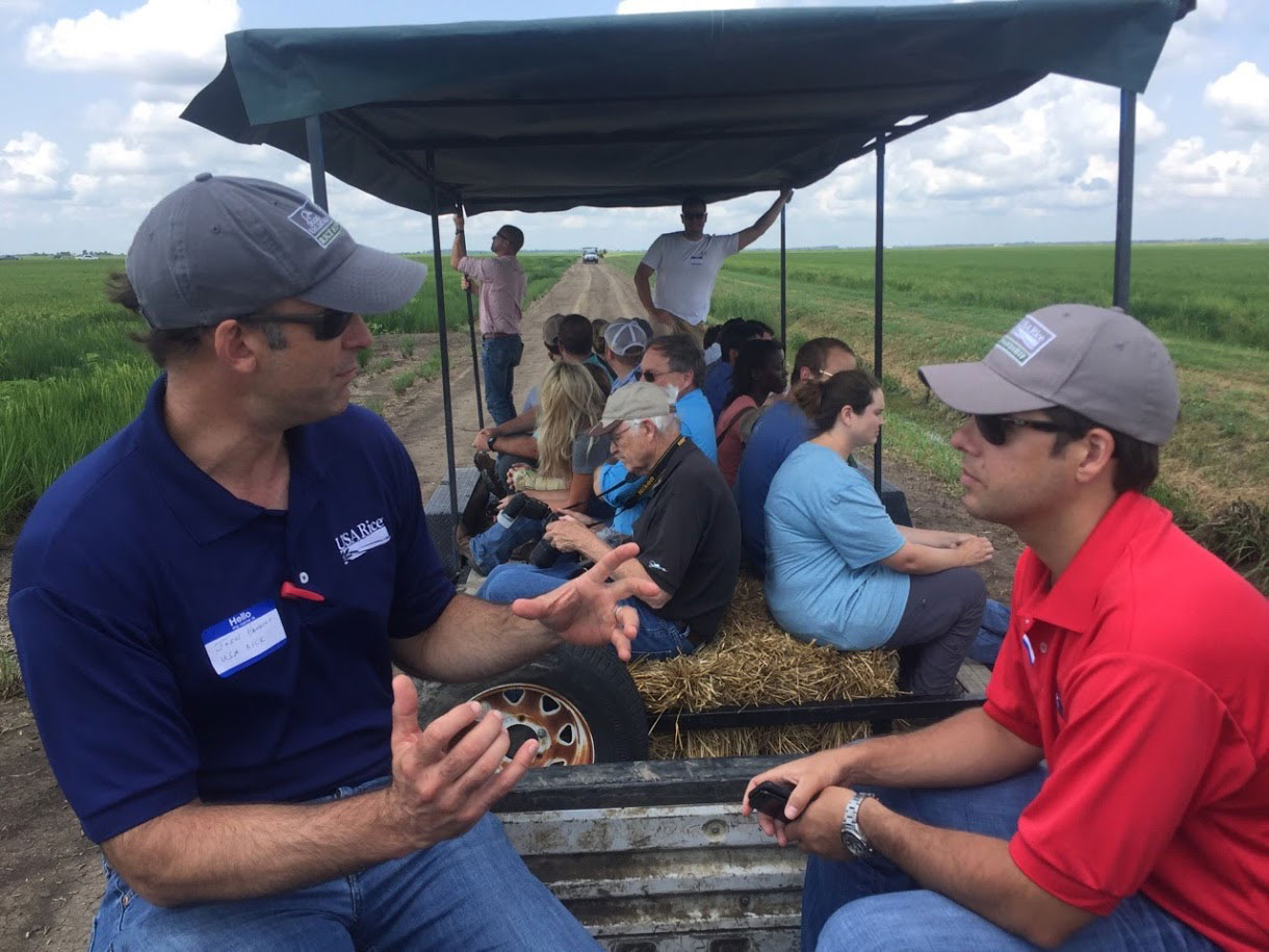 People riding observation trucks through rice research fields