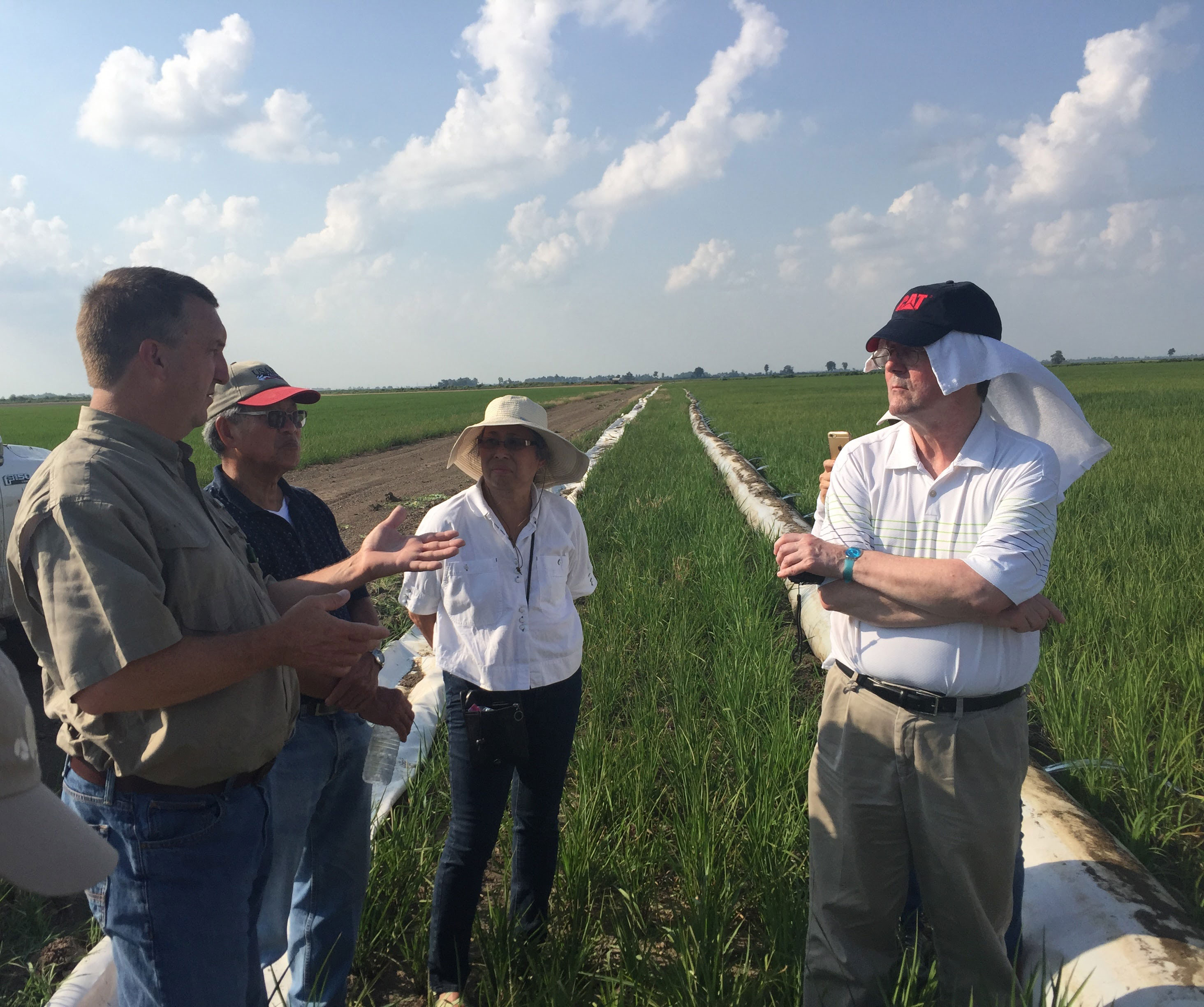 People listening to farmer talk about irrigation, standing in rice field w/water pipes