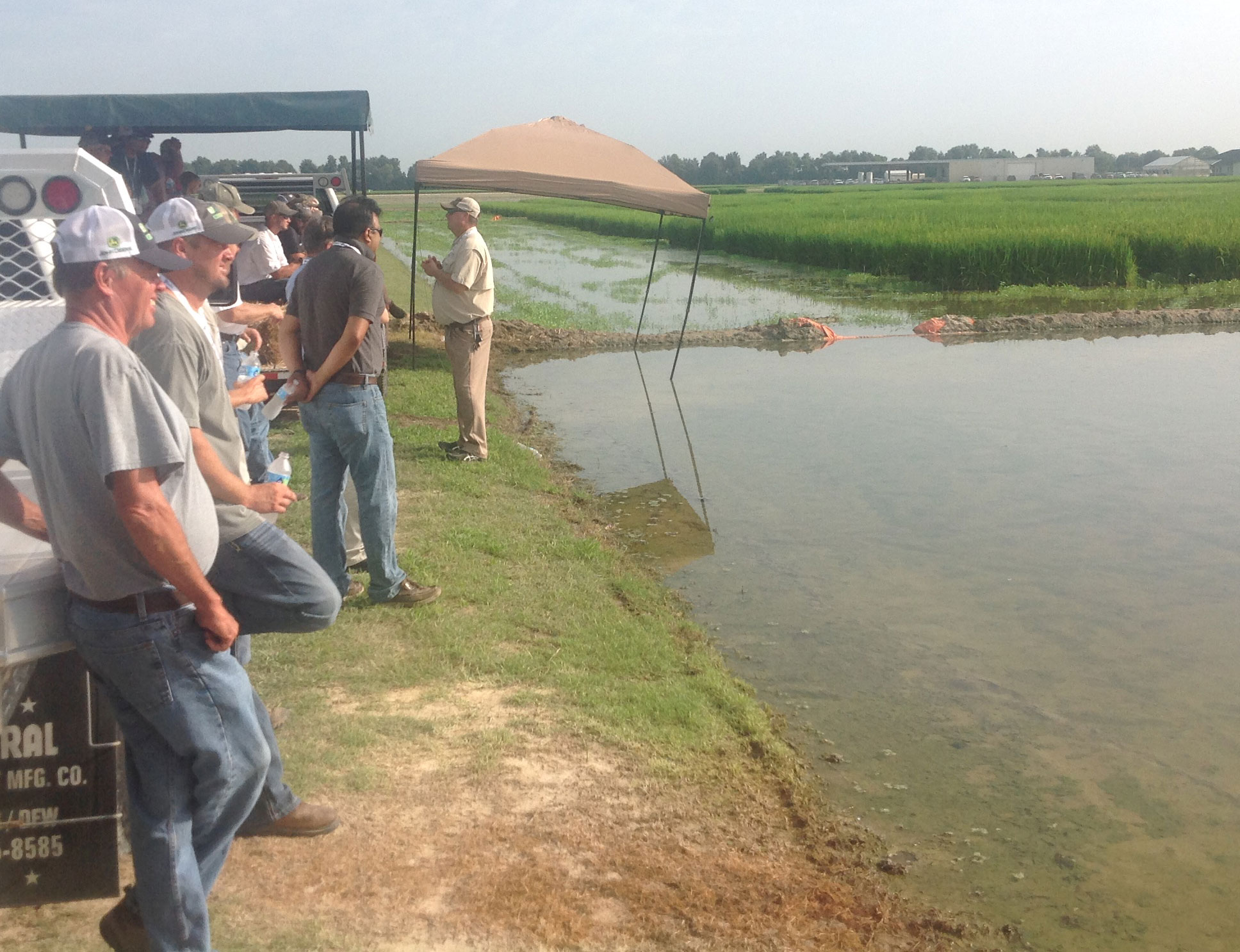 RiceTec-AR-Field-Day, attendees stand alongside research plots