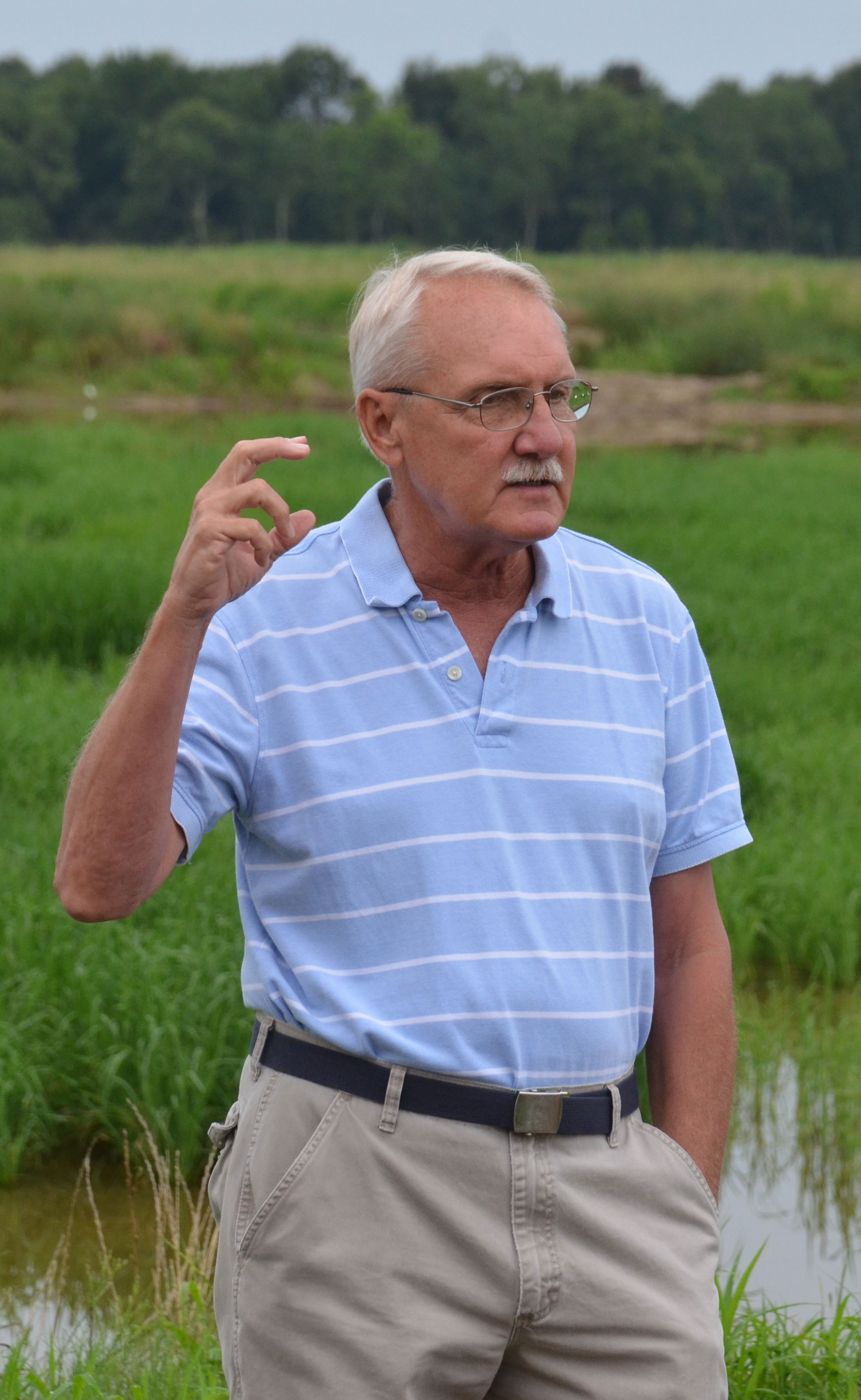 Steve-Linscombe,-LSU-image, Steve in rice field talking & gesturing