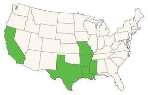 U.S. Map of Rice States Image of the United States with the six rice states highlighted.