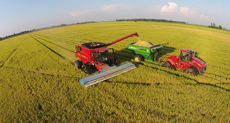 harvest harvest